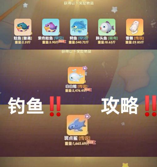 摩尔庄园手游白白鲸冲浪板获得攻略（打造最强白白鲸，畅游大海）