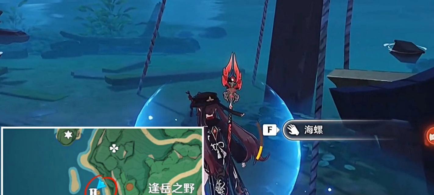 《原神》智巧灵蕈后续彩蛋攻略，尽在此（挖掘更多有趣内容）
