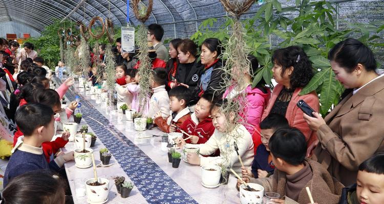 《掌握这些龙之谷农场园艺小技巧，让你成为高超农夫》（以游戏为主）
