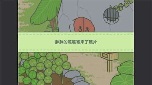 旅行青蛙物品无法放置成功（以游戏为主）