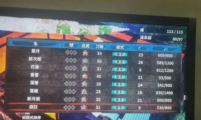 侍道外传（揭秘游戏中的顶级武器与装备）