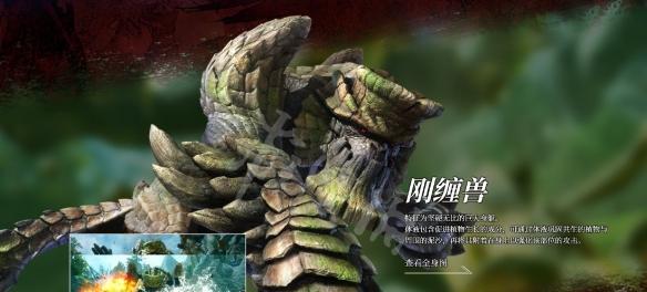 《怪物猎人崛起》曙光百龙装饰品效果大揭秘（探秘装饰品的属性和使用技巧）