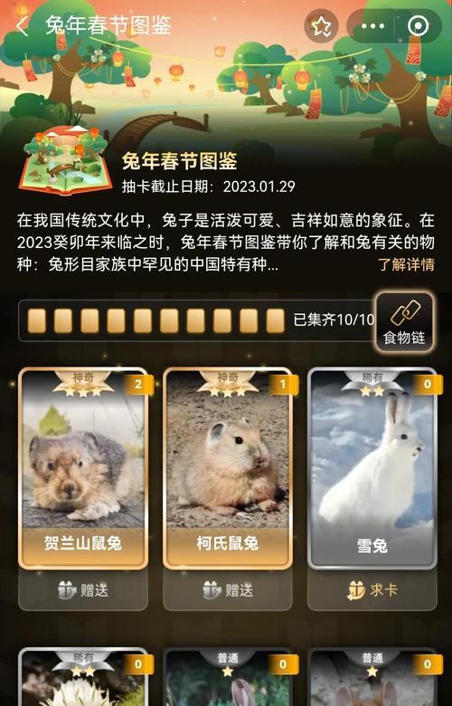 魔域兔年宠物推荐？兔年应该选择哪种宠物？
