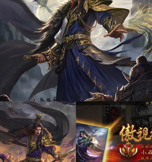 朝廷大司马在三国杀中如何选择？哪些技能组合更有效？