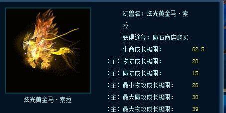 魔域龙骑宝宝的伤害类型是什么？如何选择合适的龙骑宝宝？