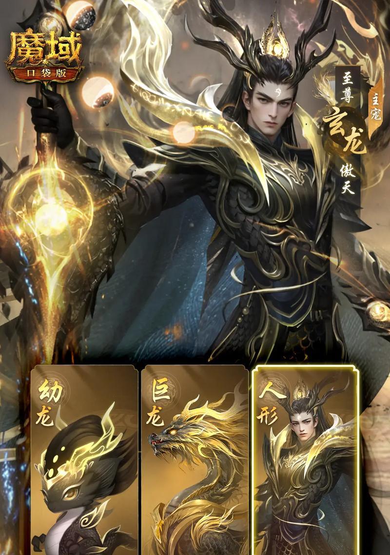 魔域龙年兽无法洗装备的原因是什么？如何解决？